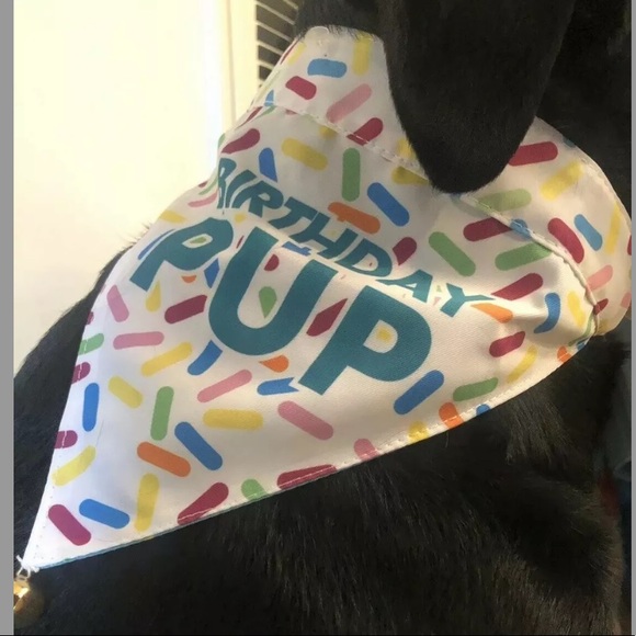 Dog Birthday Bandana Reversible NEW S/M or M/L - Picture 2 of 7